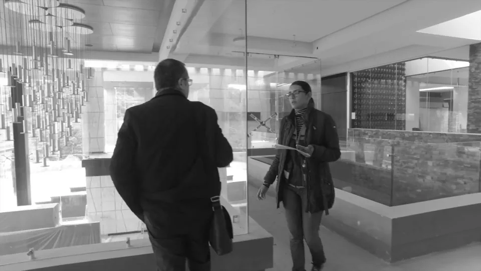 Miniatura del video: Hacemos sueños realidad / jaime lavín .arq
