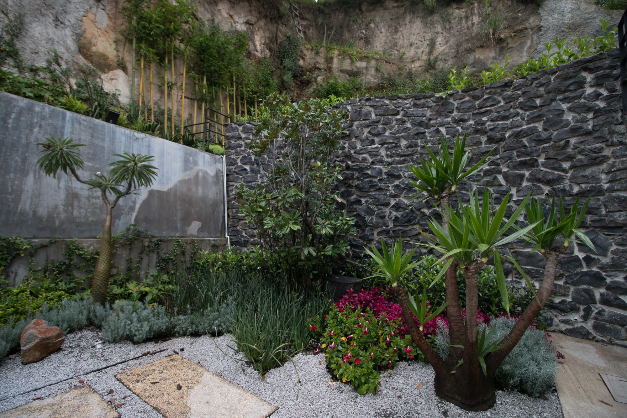 Jardín de la casa
