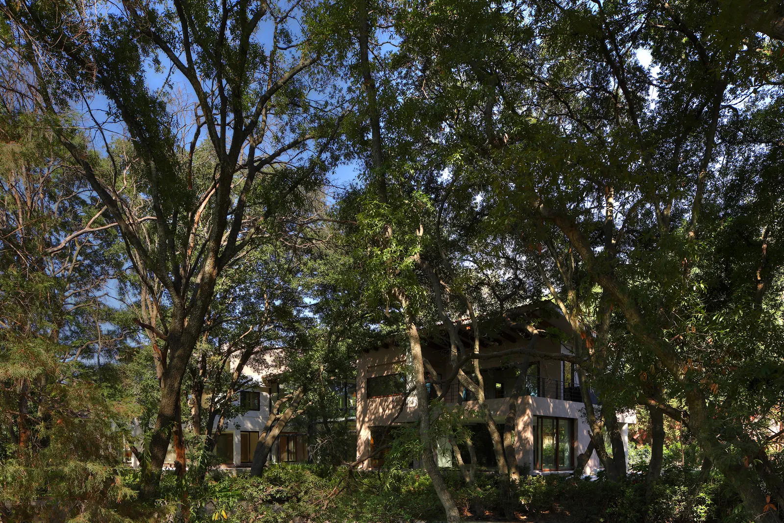 La casa vista entre las copas de los árboles
