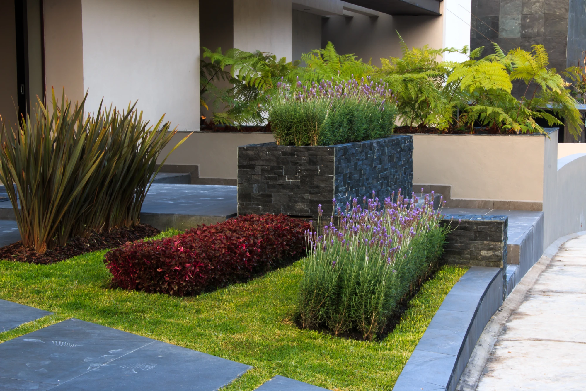 Jardín de la casa