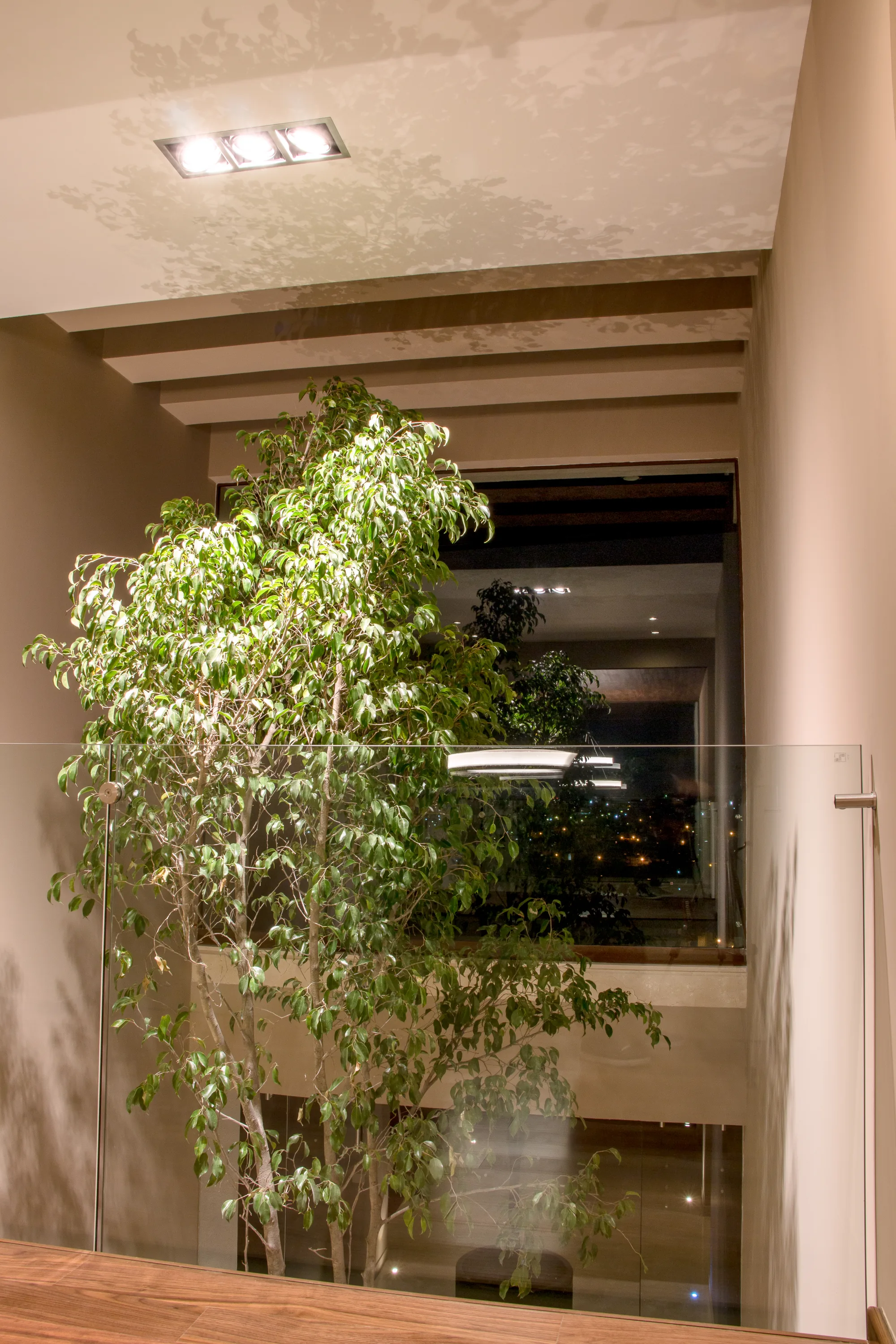 Patio de la casa